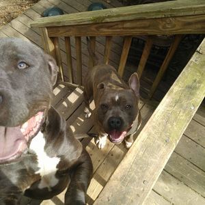 Meet your Posher, James